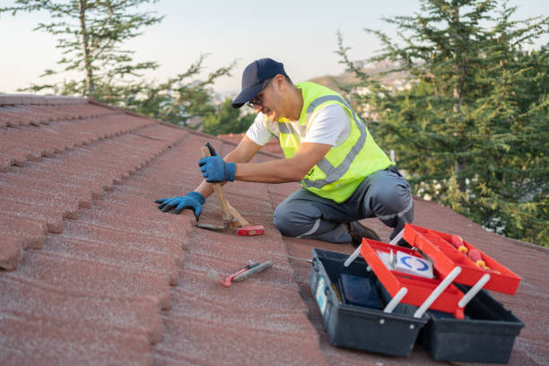 Roof Gutter Cleaning in Nolanville, TX